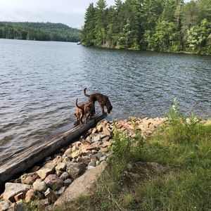 Meet your Posher, Carla